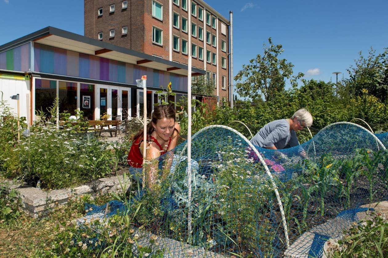 Stichting Voedseltuin Rotterdam Stichting Voedseltuin Rotterdam